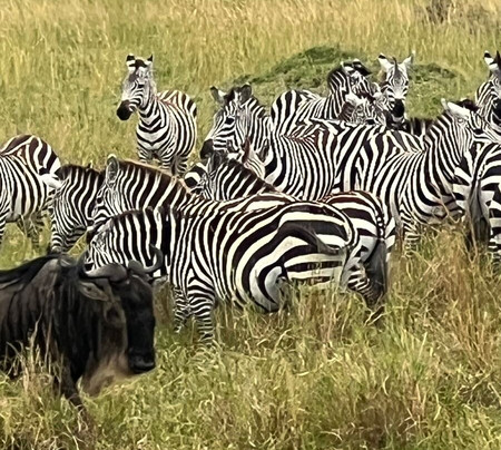 Keyron Vacation Ltd-蒙巴萨必去景点