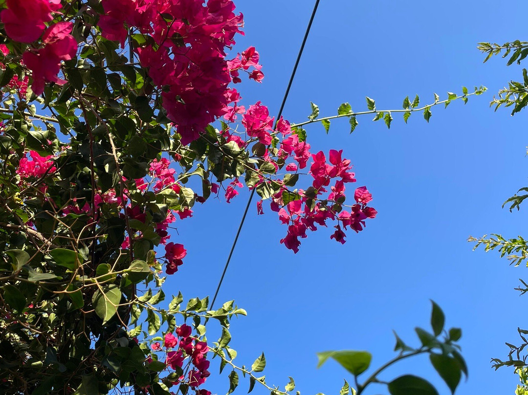 Marianna Guest House主图