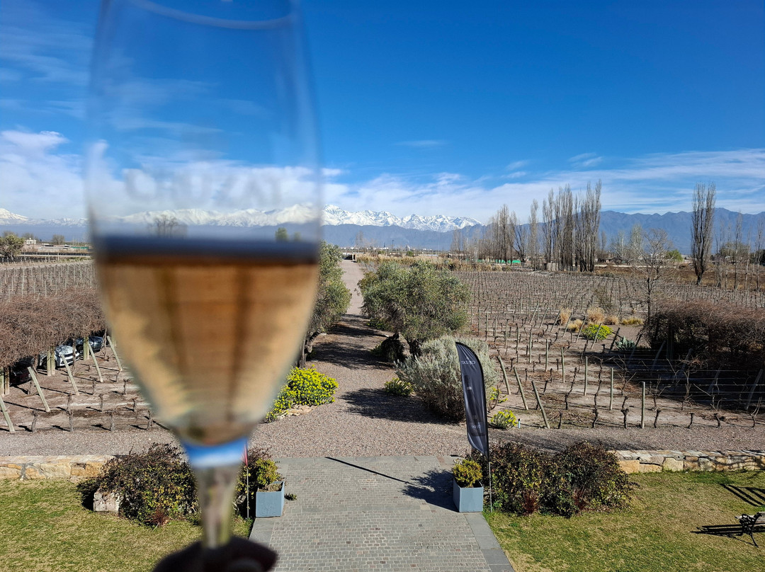 Bodega Cruzat. Bubbles Experience-路冉得库约必去景点