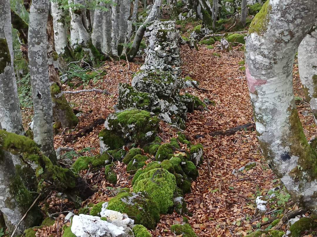 Village Cap Vercors Font d'Urle主图