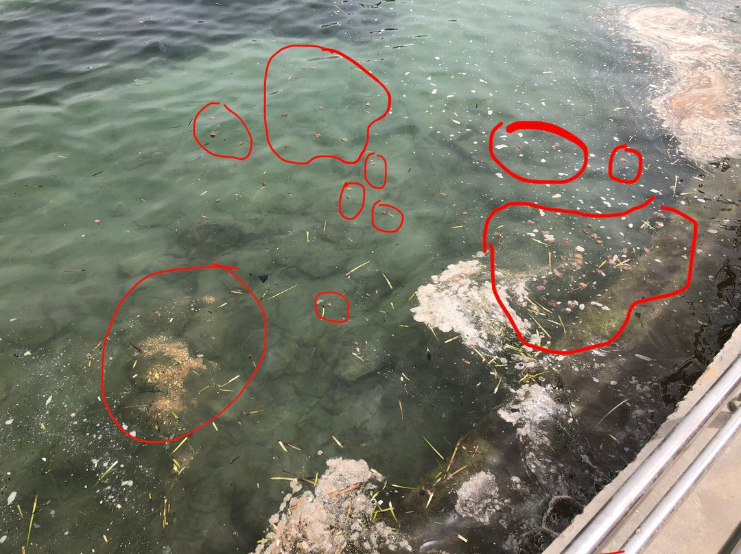 Playa de Es Canar-埃斯卡纳尔必去景点