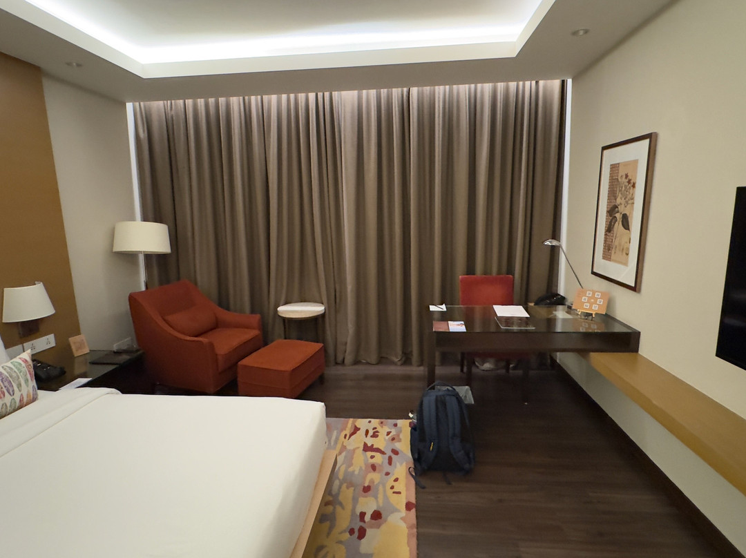 Feathers - A Radha Hotel主图