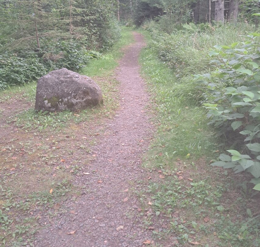 Judge C.R. Magney State Park-大马雷必去景点