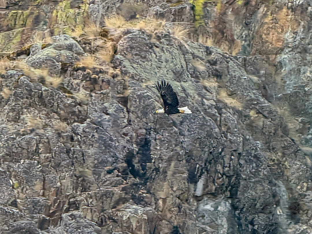 Snake River Adventures-刘易斯顿必去景点