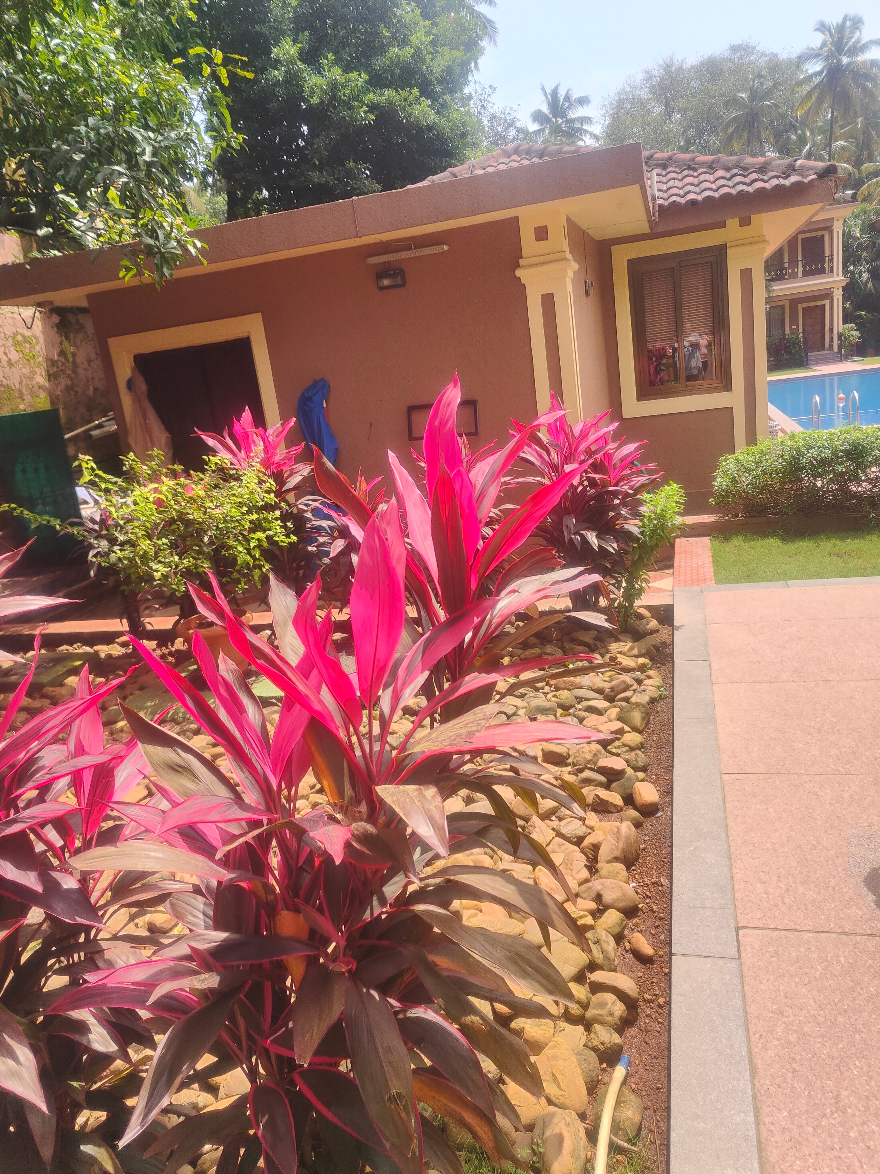 Seashell Suites and Villas-浴室