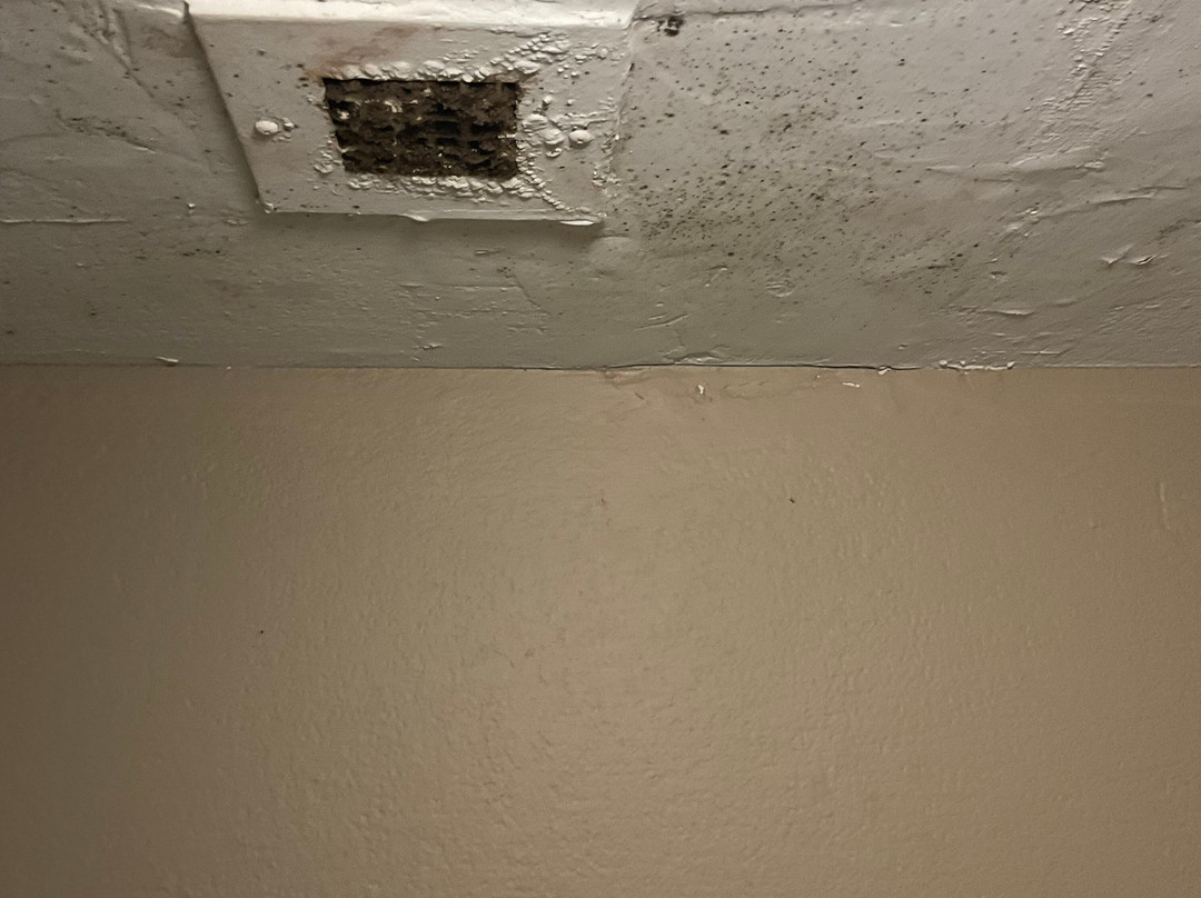 Super 8 by Wyndham Austell/Six Flags主图