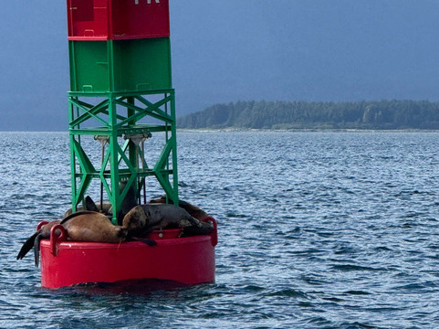 Alaska Galore Tours-朱诺必去景点