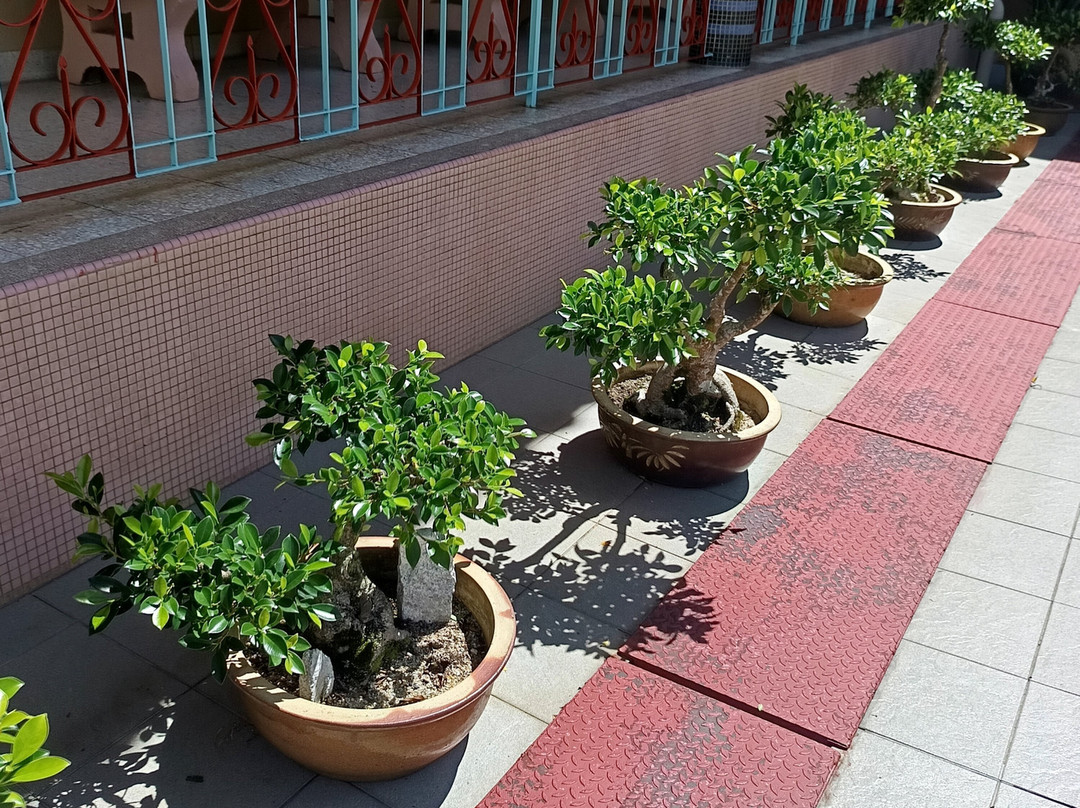 Sam Poh Temple-碧兰璋必去景点