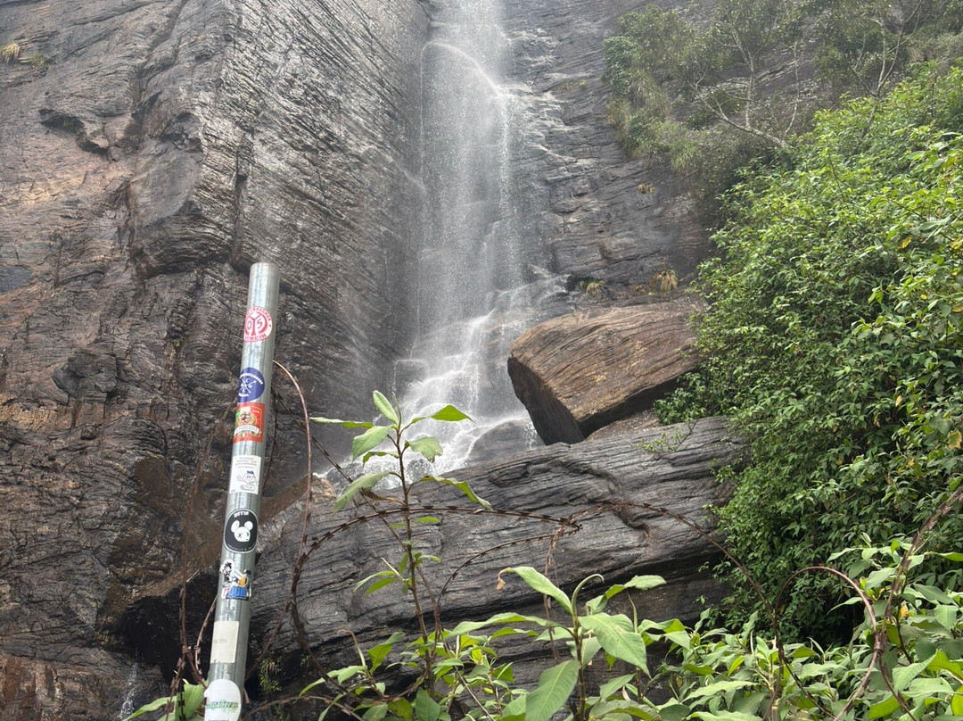 Andrews Eco Tours and Taxi-奴娃拉伊利雅必去景点