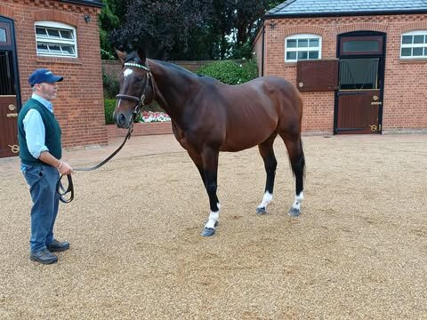 Discover Newmarket Tours-纽马克特必去景点