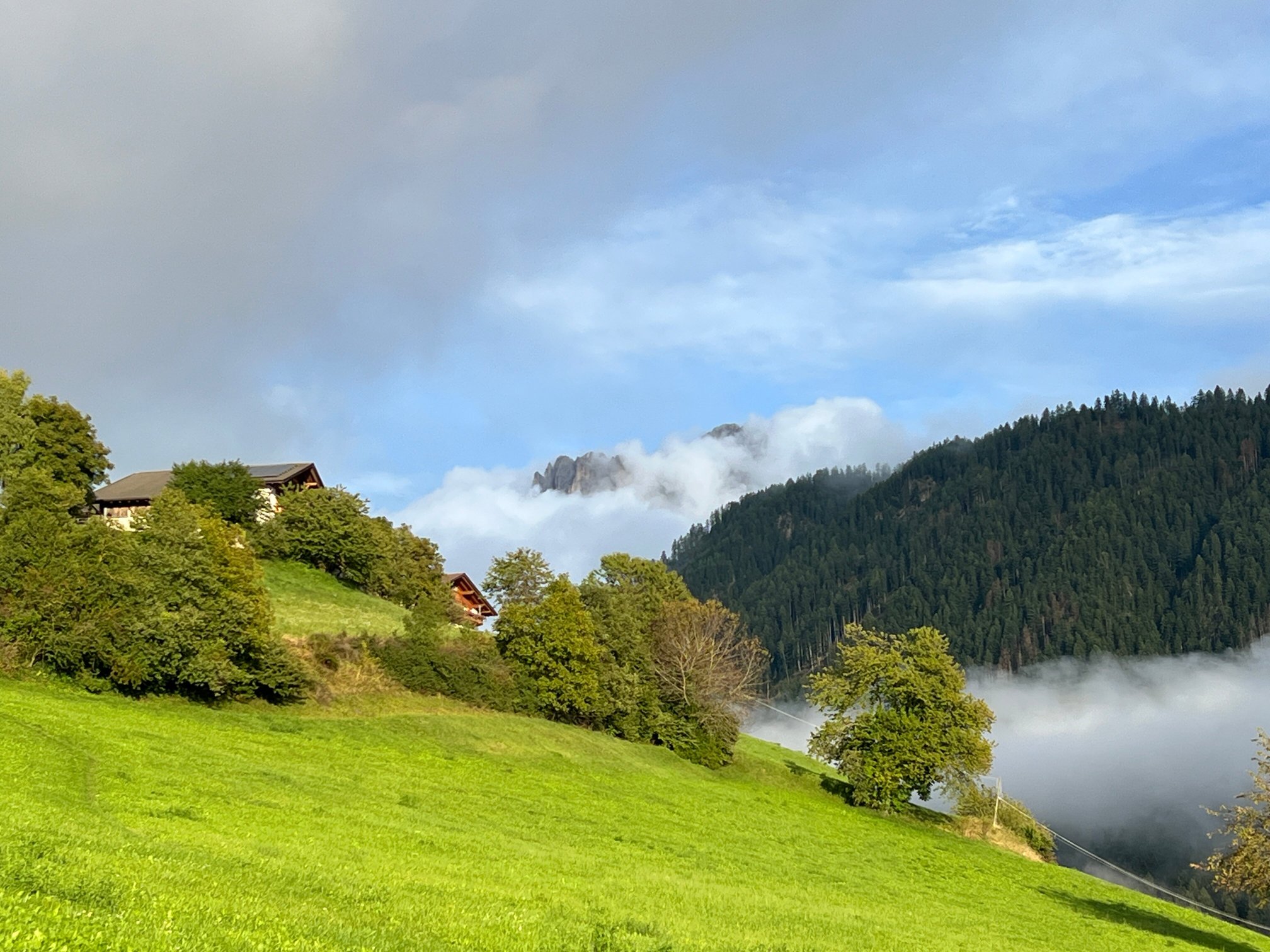 Alpinhotel Vajolet-酒店景观
