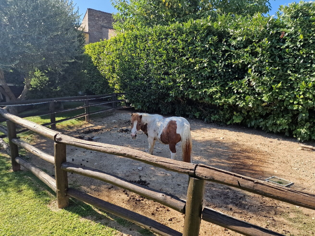 B&B Gallo delle Pille主图