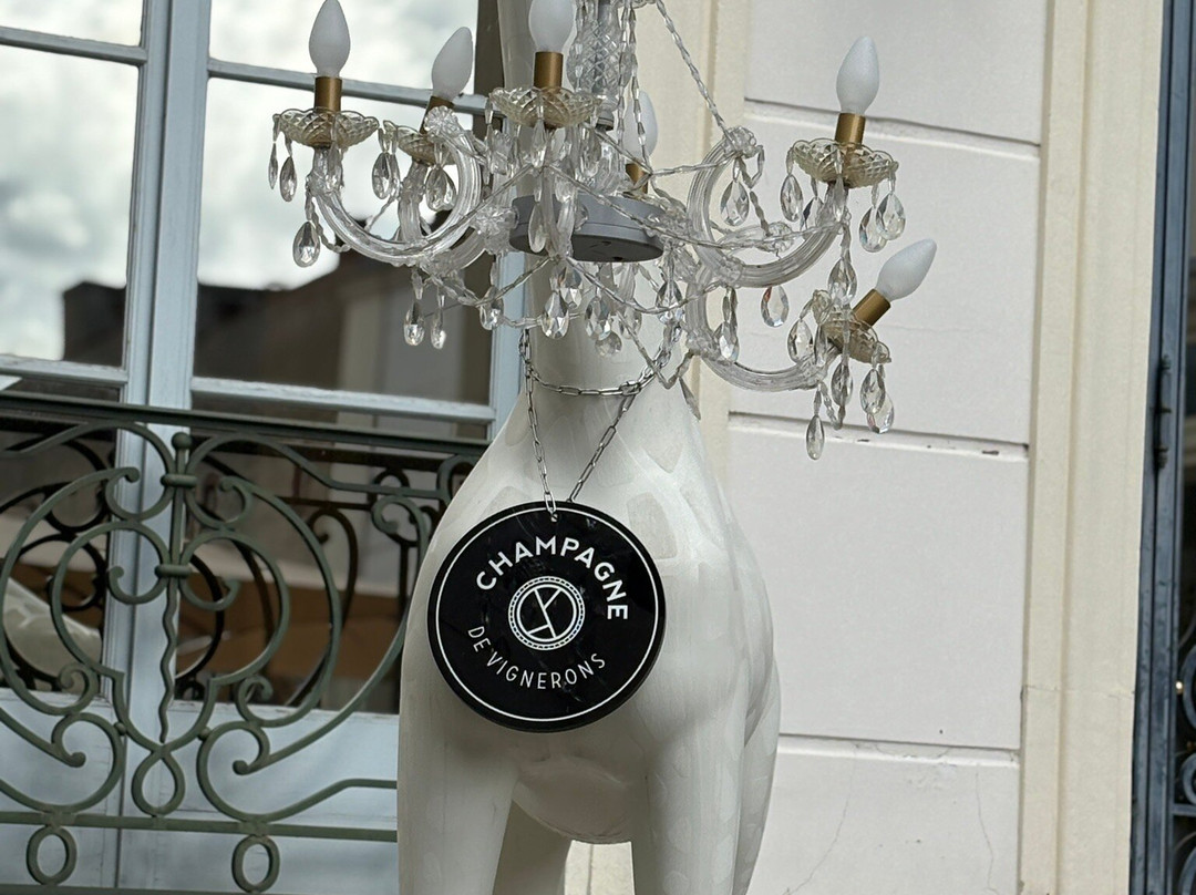 Le 19 Avenue De Champagne-埃佩尔内必去景点