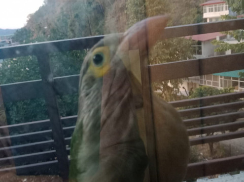 Real Happiness-Tapovan必去景点