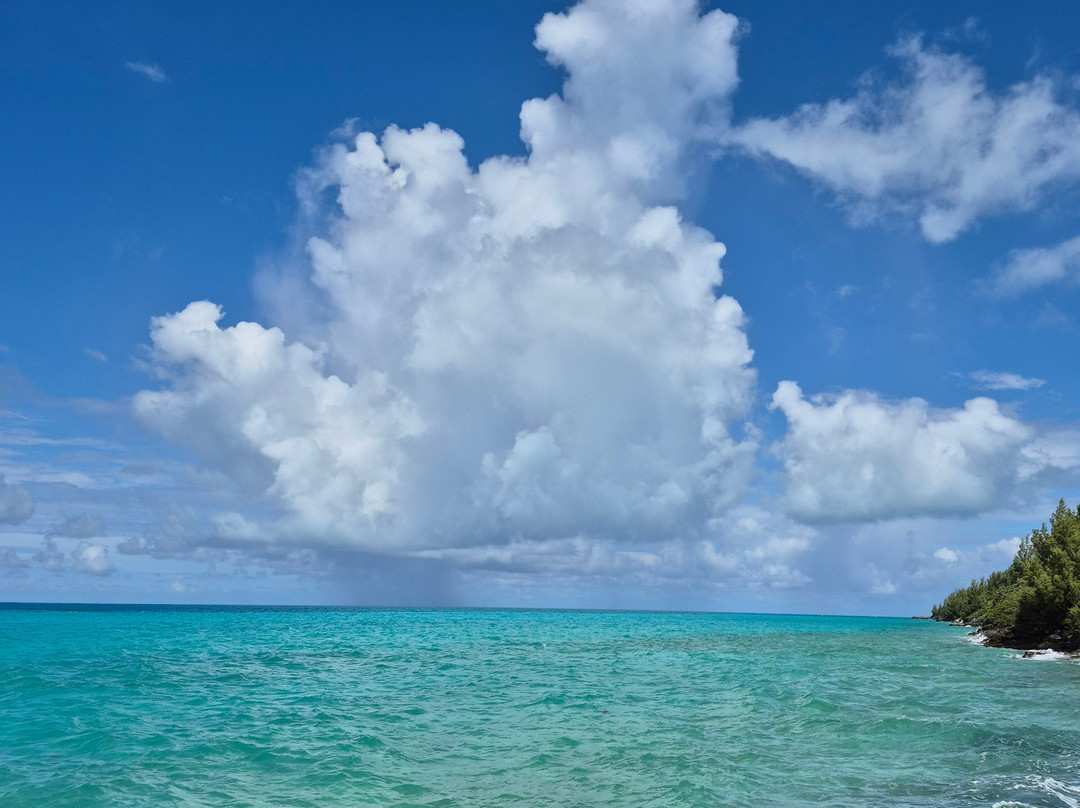 BDA Watersports-Sandys Parish必去景点