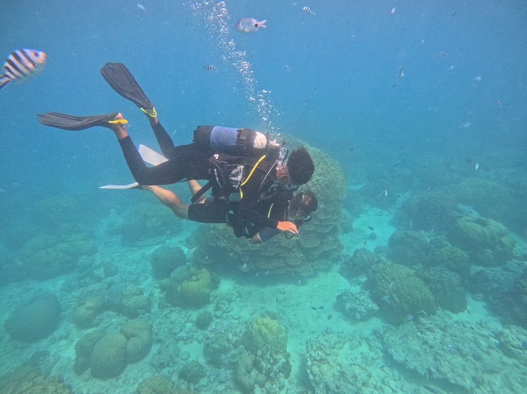 Seaman Diving-大湾必去景点