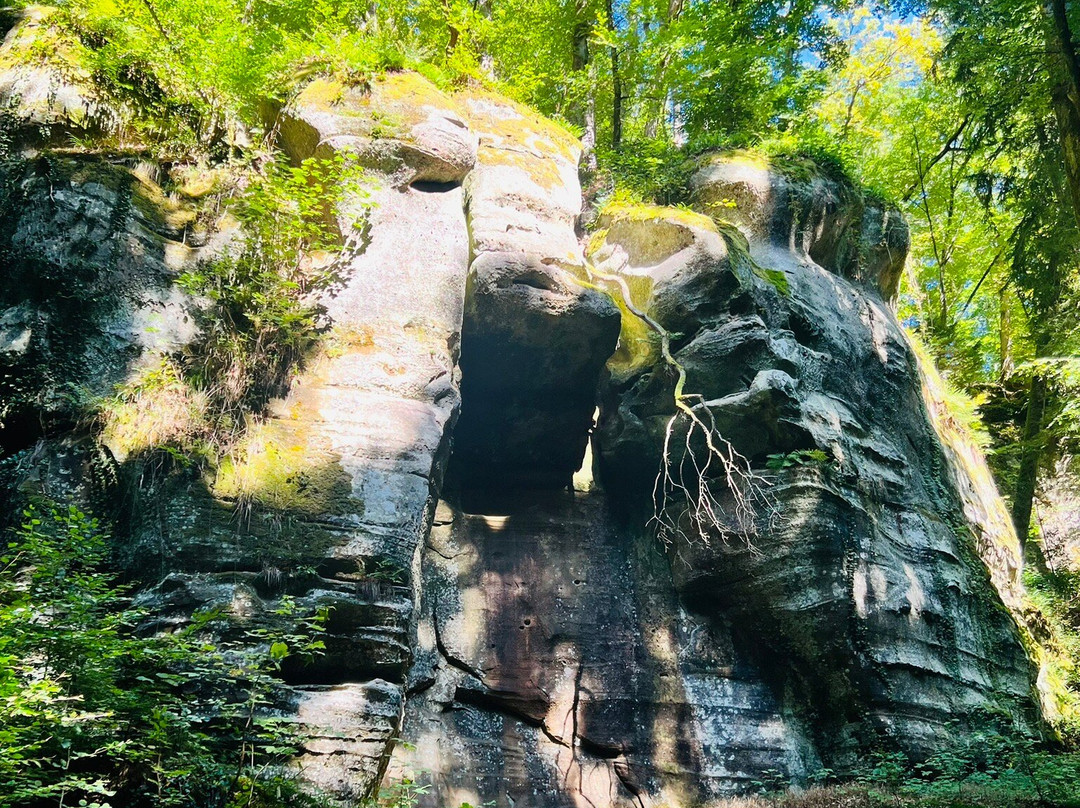 杜帕克酒店主图