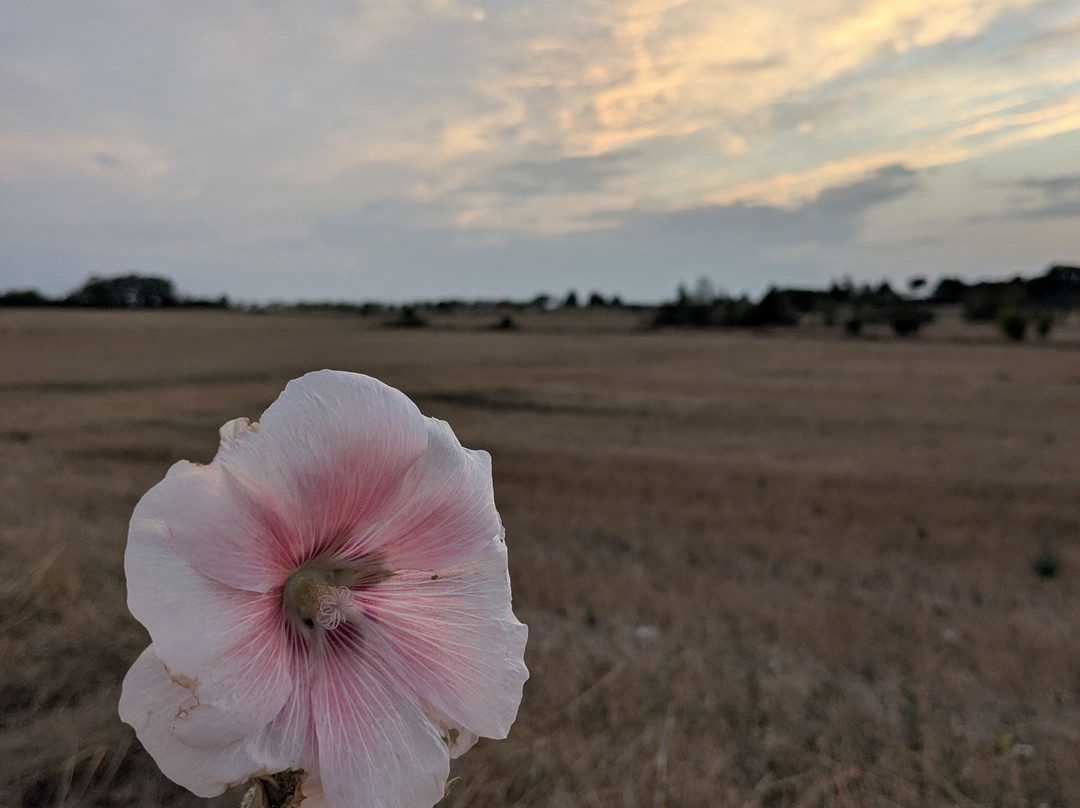 Les Escaliers de La Combe主图
