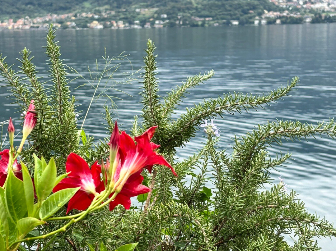 Al Molo 5 - Boutique Hotel主图