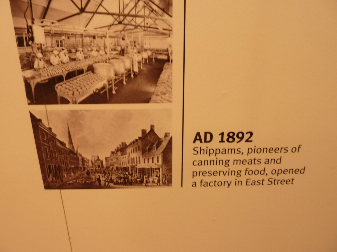 The Novium Museum-奇切斯特必去景点