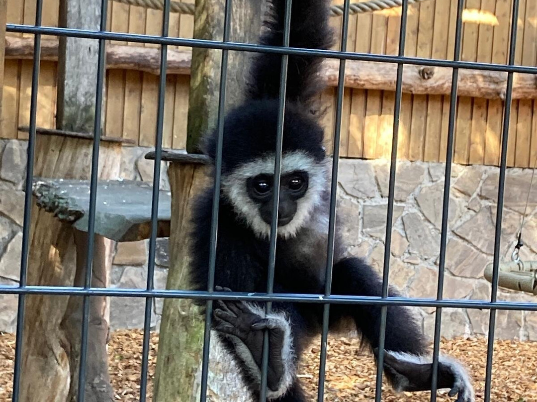 Tierpark Ströhen - Der Entdeckerzoo-Strohen必去景点