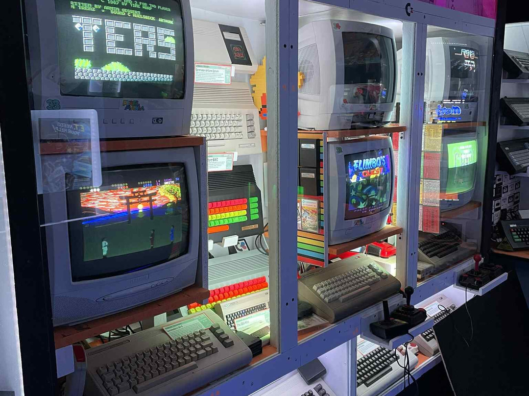 Pixel-Mania-弗瓦迪斯瓦沃沃必去景点