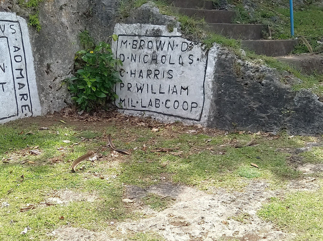 Gun Hill Signal Station-Saint George Parish必去景点