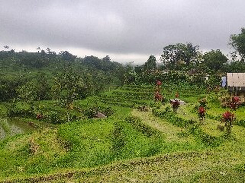 Bella Bali Holiday-克隆孔必去景点