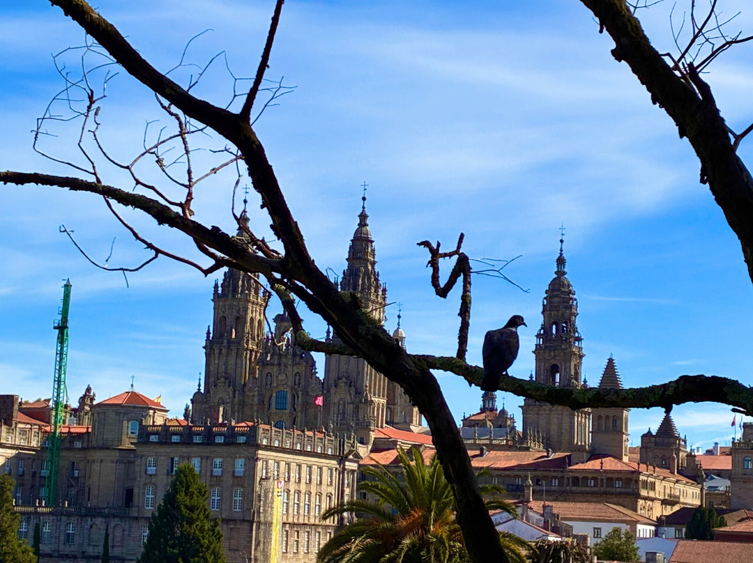 Tee Travel-圣地亚哥德孔波斯特拉必去景点
