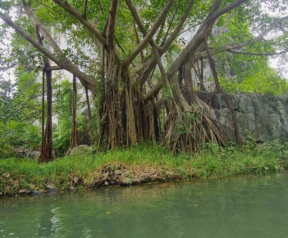 Trang An Tours-宁平必去景点
