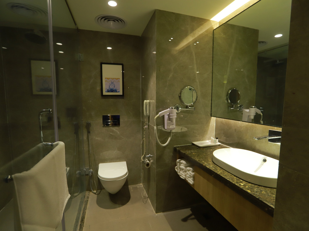 Grand Sarovar Portico主图