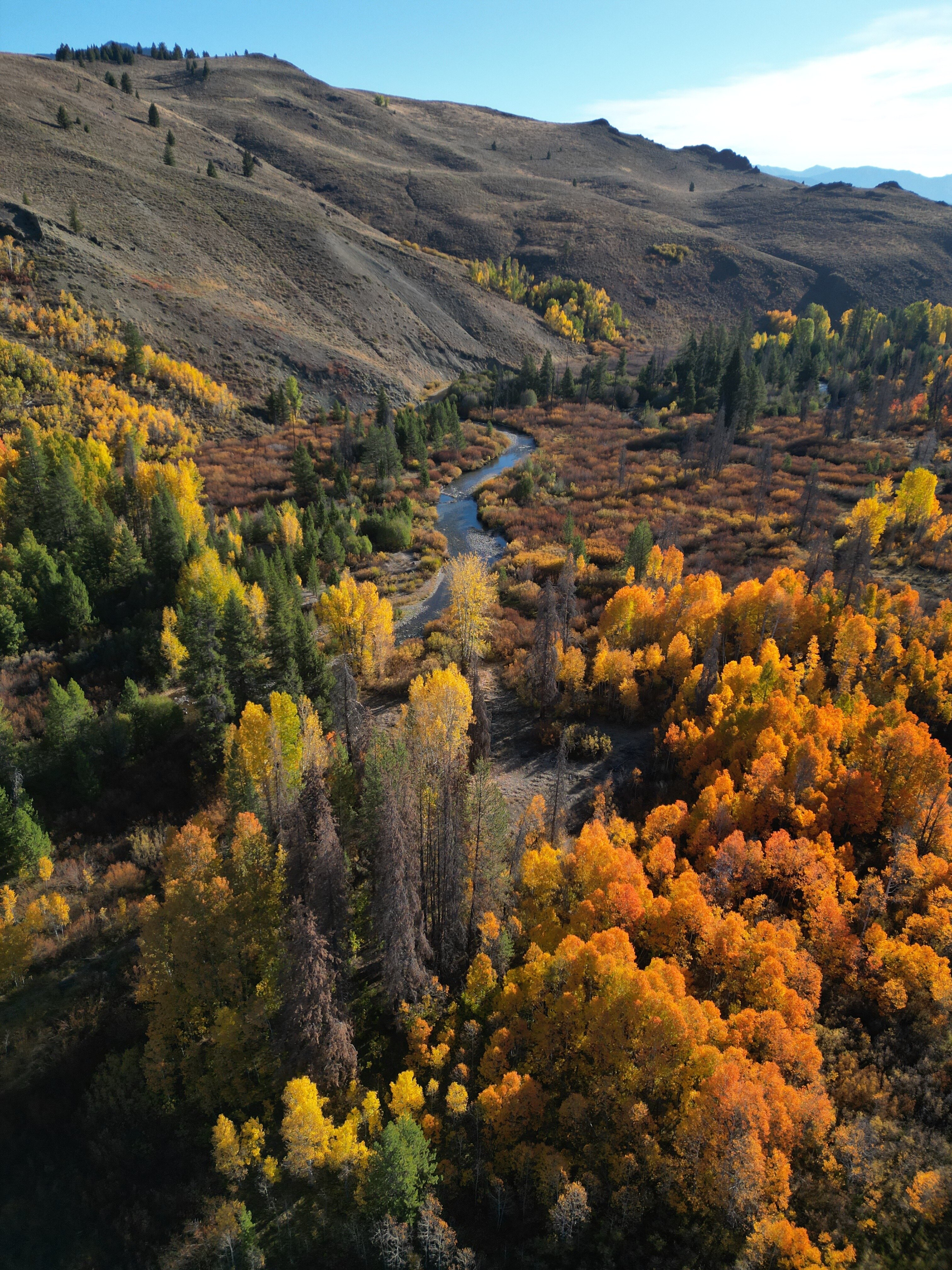 Limelight Ketchum-官方