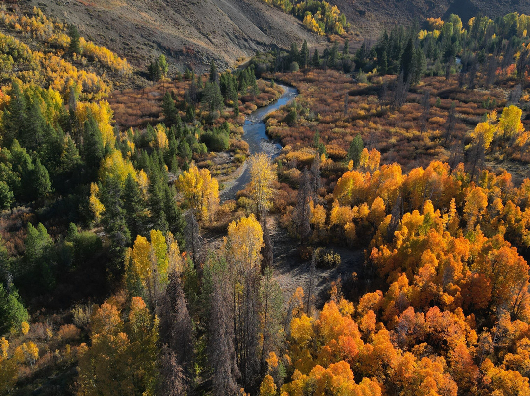 Limelight Ketchum主图