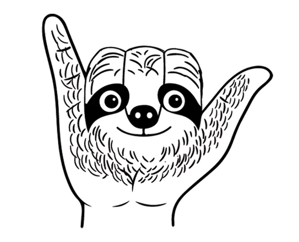 Pura Vida Experiences