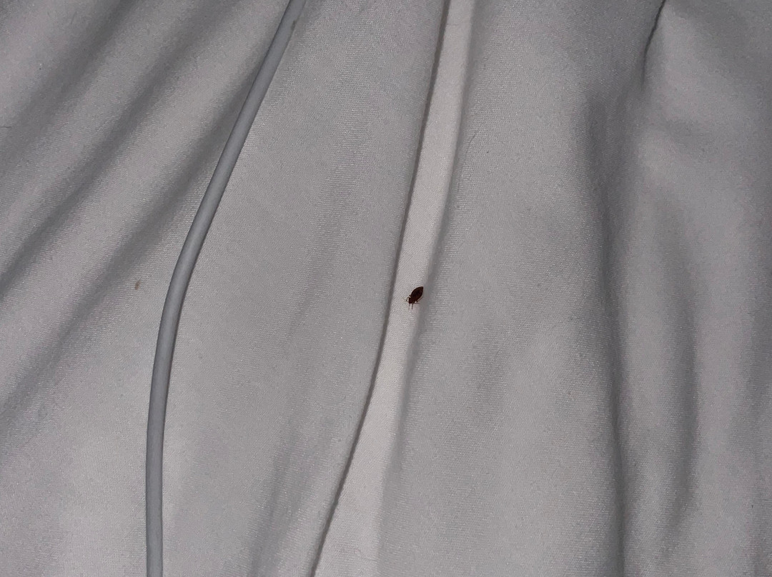 London Travel Inn主图