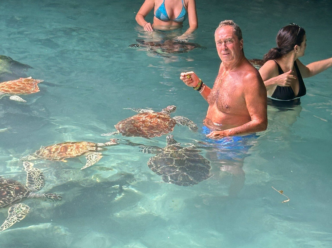 Salaam Cave Aquarium-Kizimkazi Dimbani必去景点