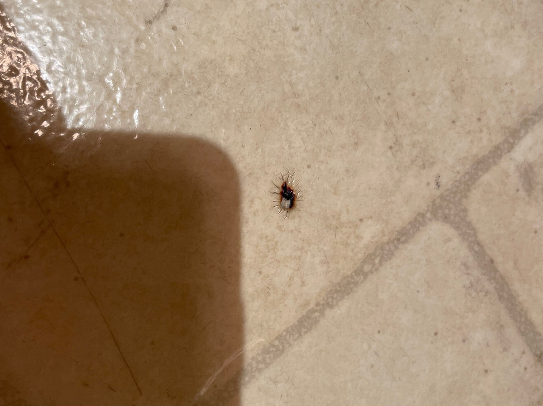 日落海滨旅馆主图