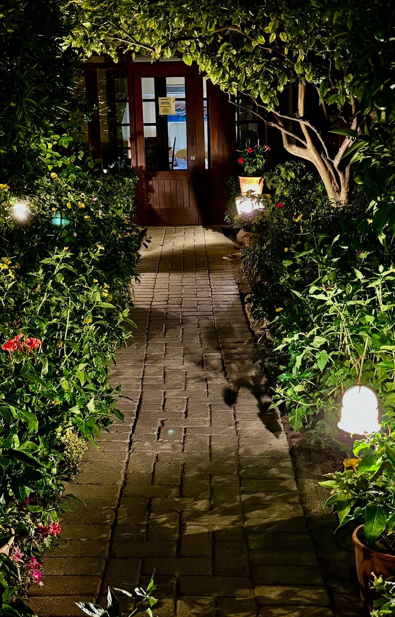 Rastoni Hotel Aegina-官方