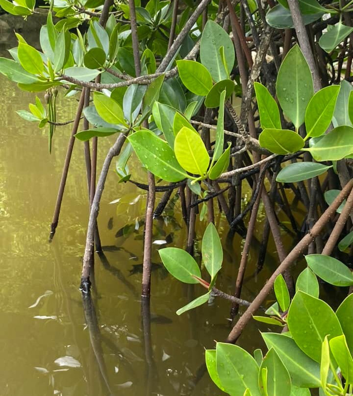 Blue Swimmer Outdoors-下龙湾必去景点