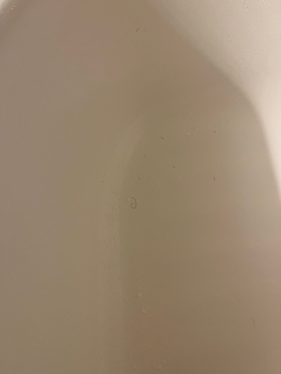 库恩拉匹兹蔚景温德姆酒店-官方