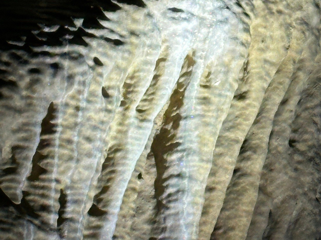 Raccoon Mountain Caverns-查塔努加必去景点