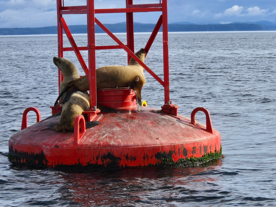 Fishing Storie Charters-坎贝尔里弗必去景点