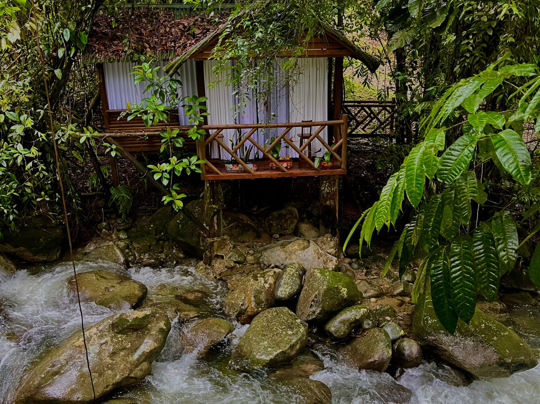 Manantiales del Campo主图