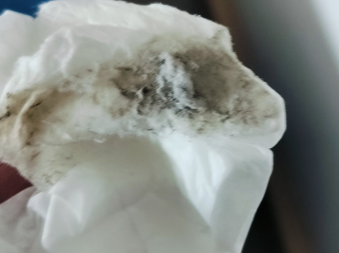 巴黎奥利机场假日酒店主图