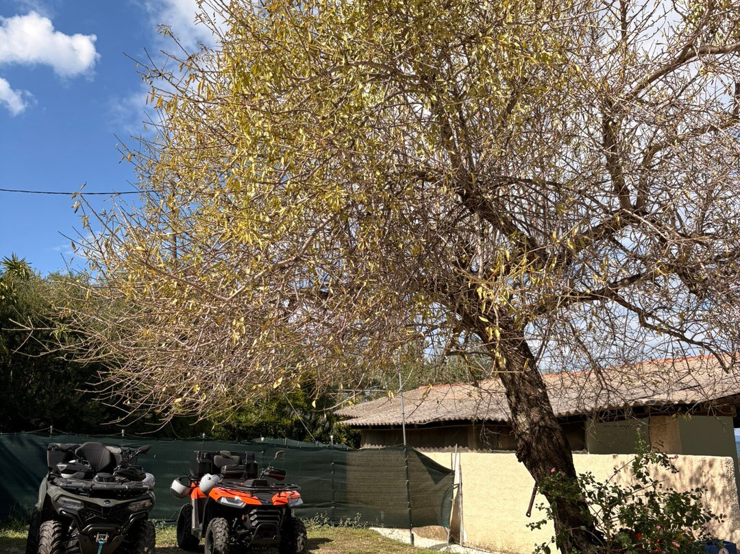 Daytona Rentals-Kato Agios Markos必去景点