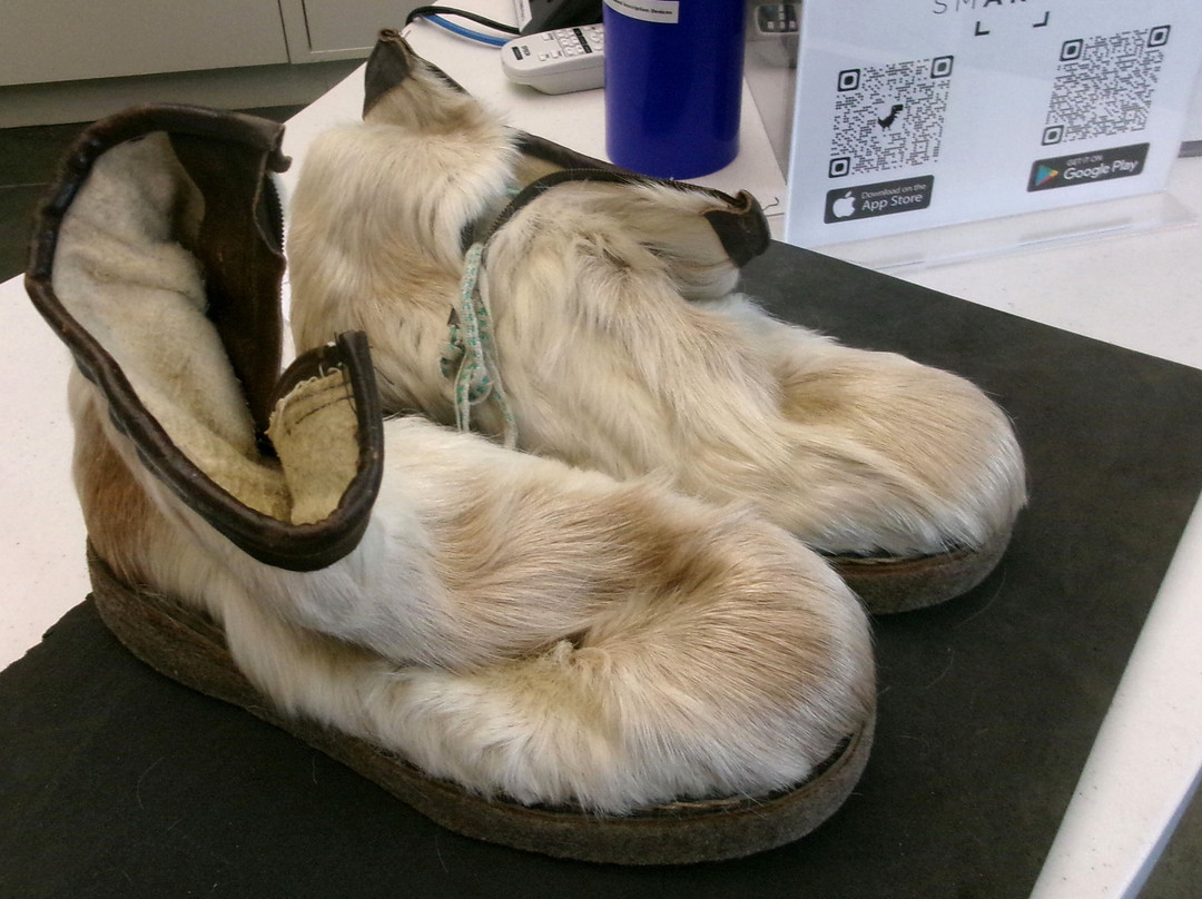 The Polar Museum, Scott Polar Research Institute-剑桥必去景点