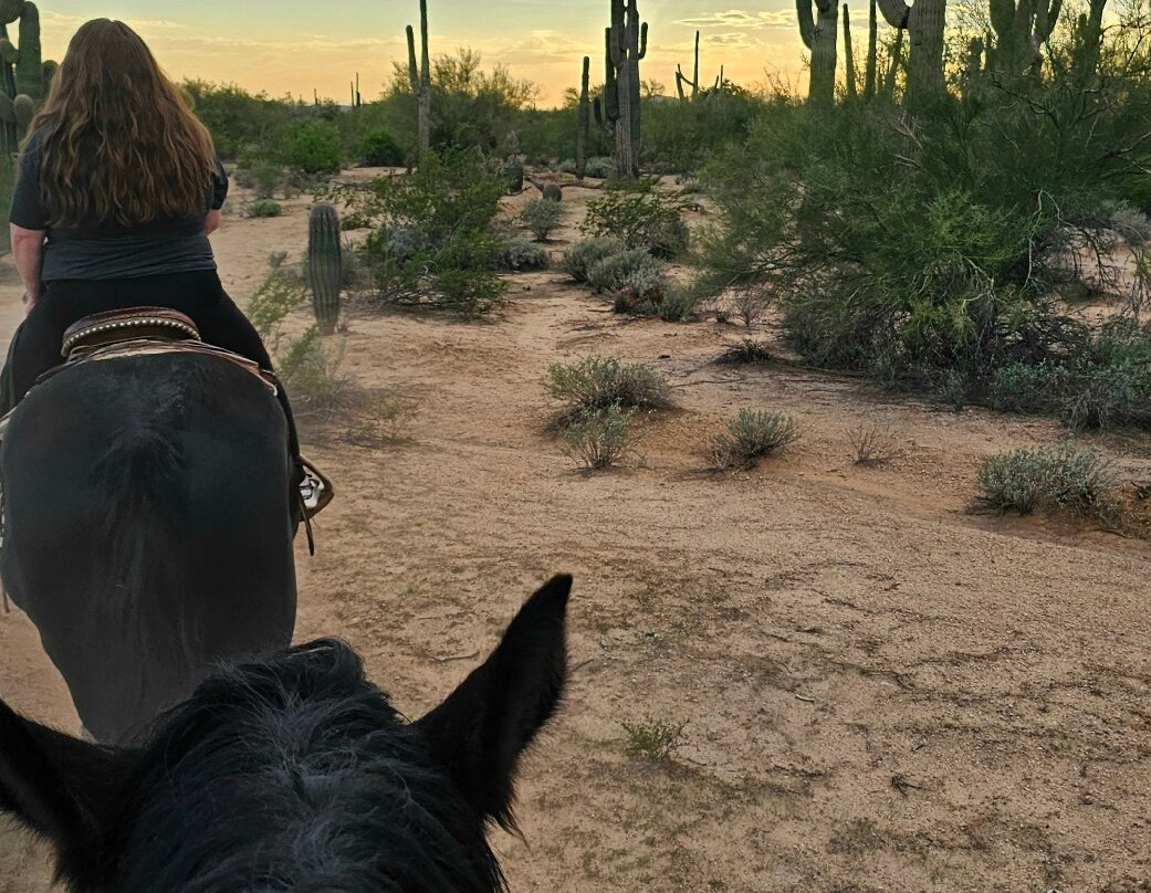 MacDonald's Ranch-斯科茨代尔必去景点