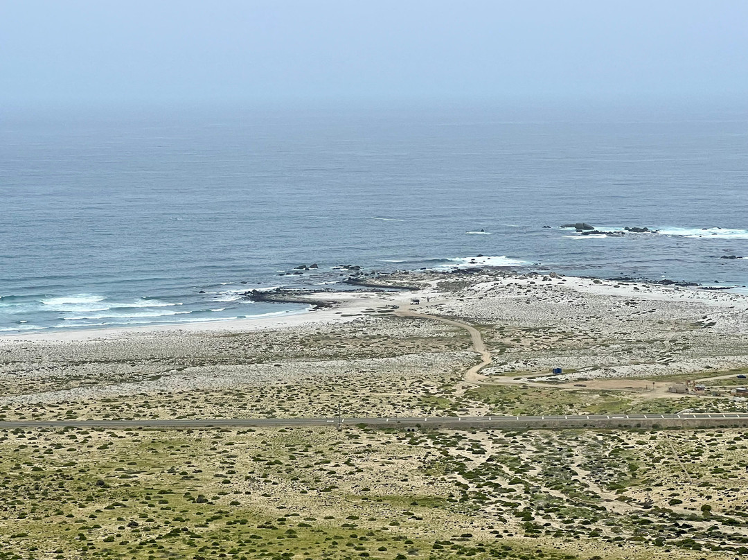 Parque Nacional Llanos del Challe-Huasco必去景点