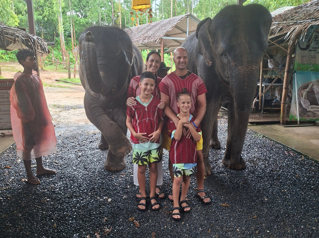 Elephant Family Phuket-卡图必去景点