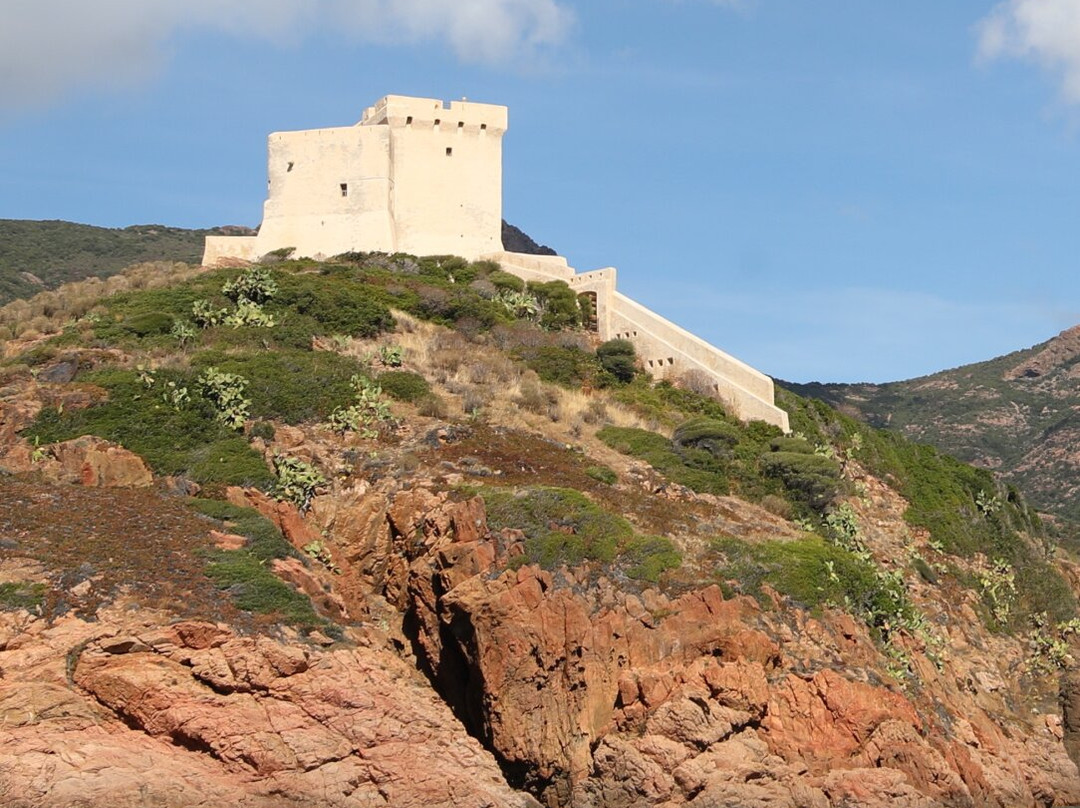 La Tour et Fortin de Girolata